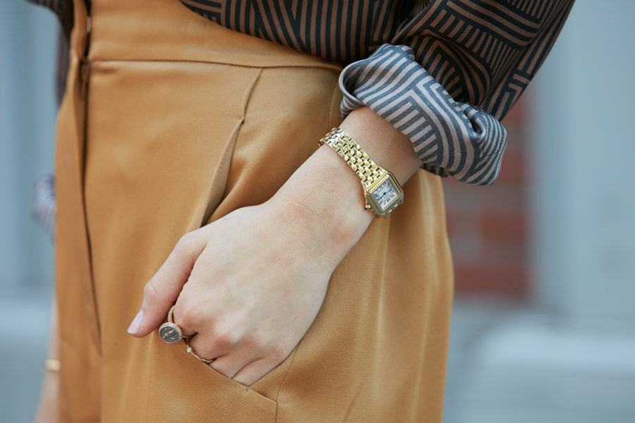 women-Cartier-Santos