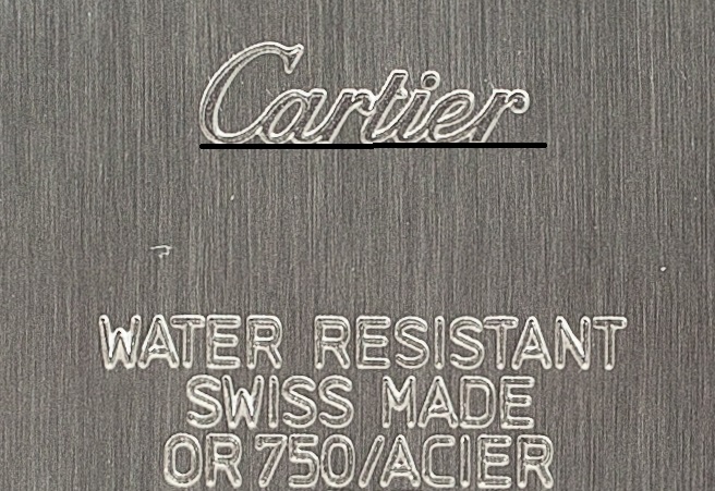 Authentic Cartier Santos Picture