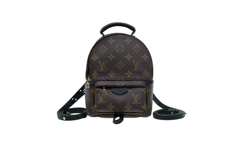 Louis Vuitton Palm Spring backpack