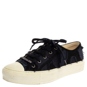 Top Dior Sneaker Styles for Women